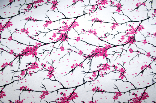 Preview: Jersey Kirschblüte weiß (10 cm)